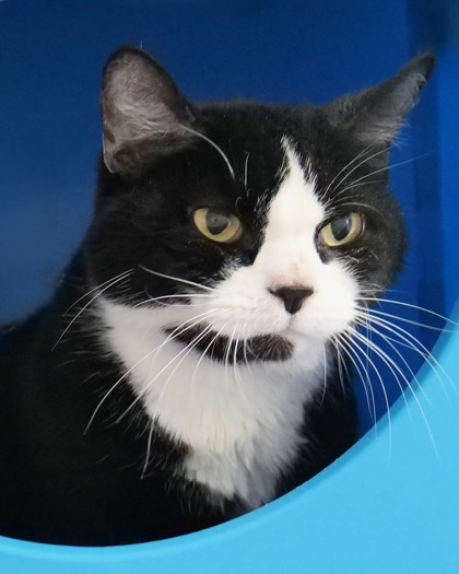 Learn More About Miss Bibs