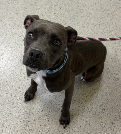 Learn More About Jimmie Photo of Jimmie