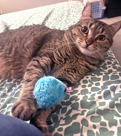 Learn More About May (in Foster) May (in foster)