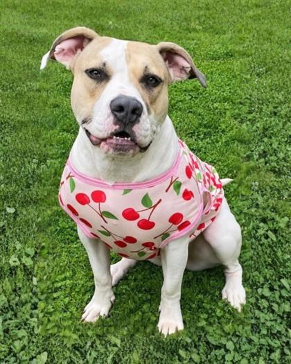 Photo of Christina (in foster)