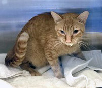 Learn More About Deanna