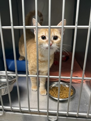 Learn More About 85407