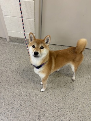 Learn More About Mina Photo of Mina