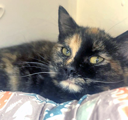 Learn More About Hailey