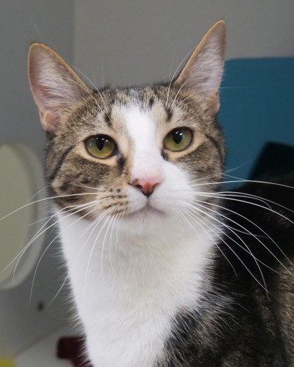 Learn More About Zeno