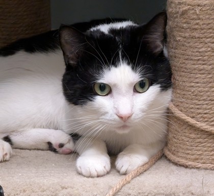 Learn More About Nike