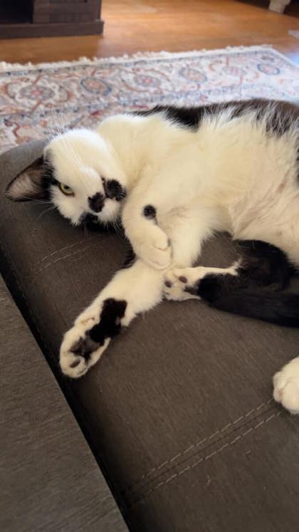 Learn More About Olsen