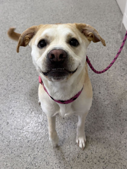Learn More About Belle Photo of Belle