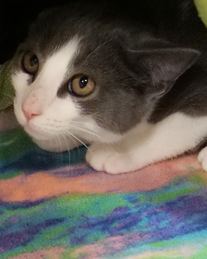 Reagan