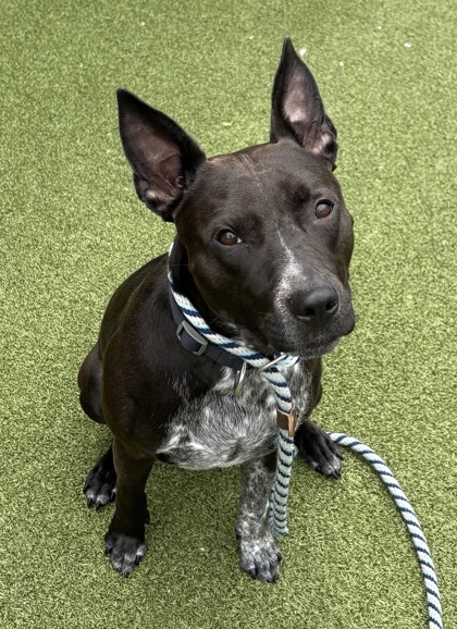 Learn More About Zeus Alexander Photo of Zeus Alexander