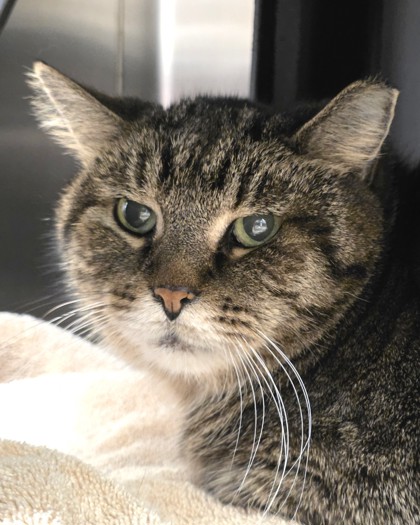 Learn More About Freya (in Foster)