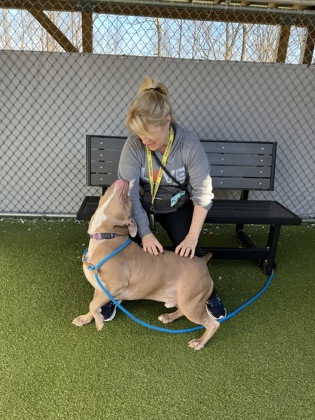 View Buford the Dog Photo #1