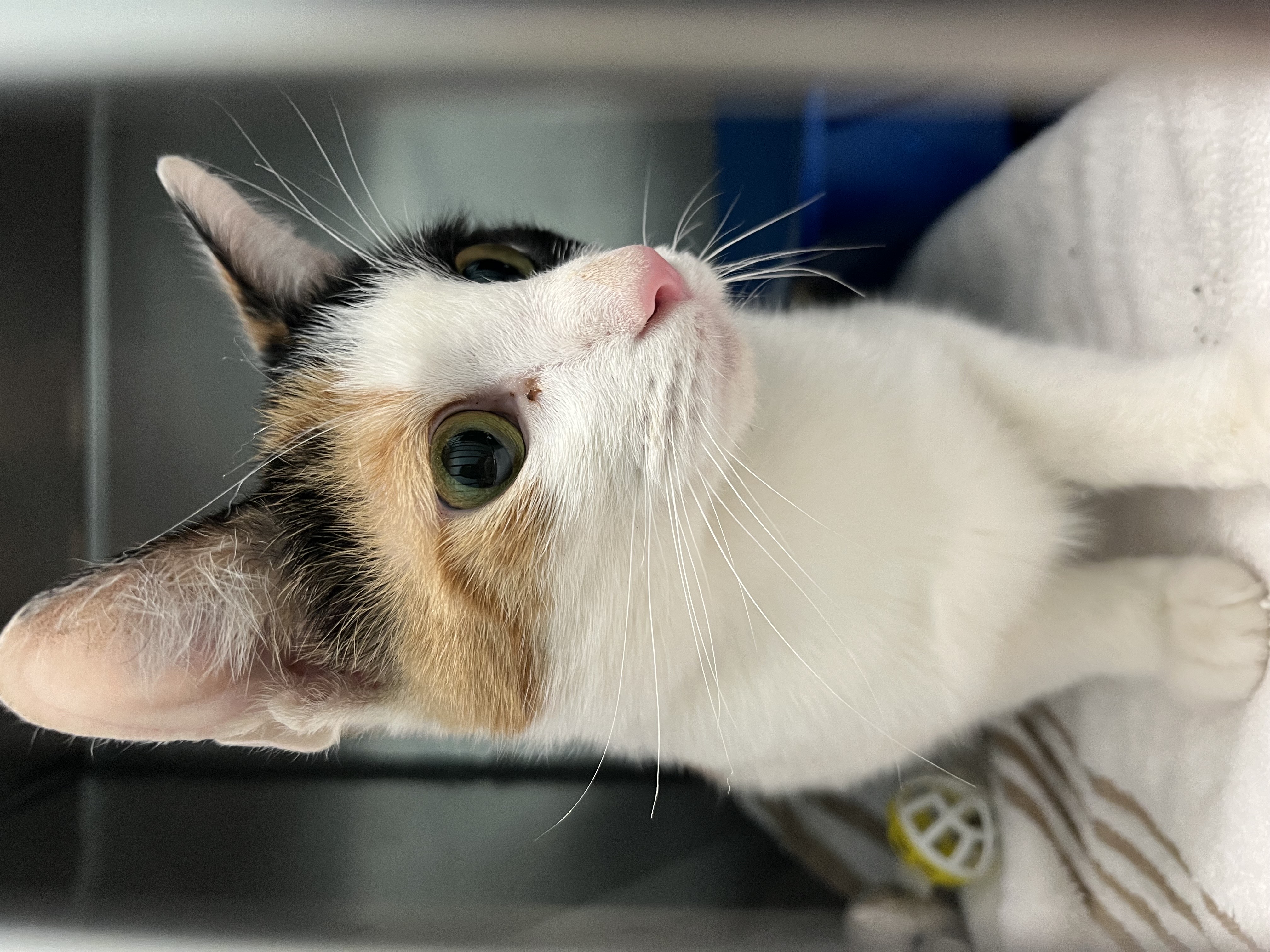 Learn More About 85423