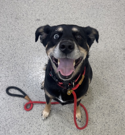 Learn More About Kali Photo of Kali