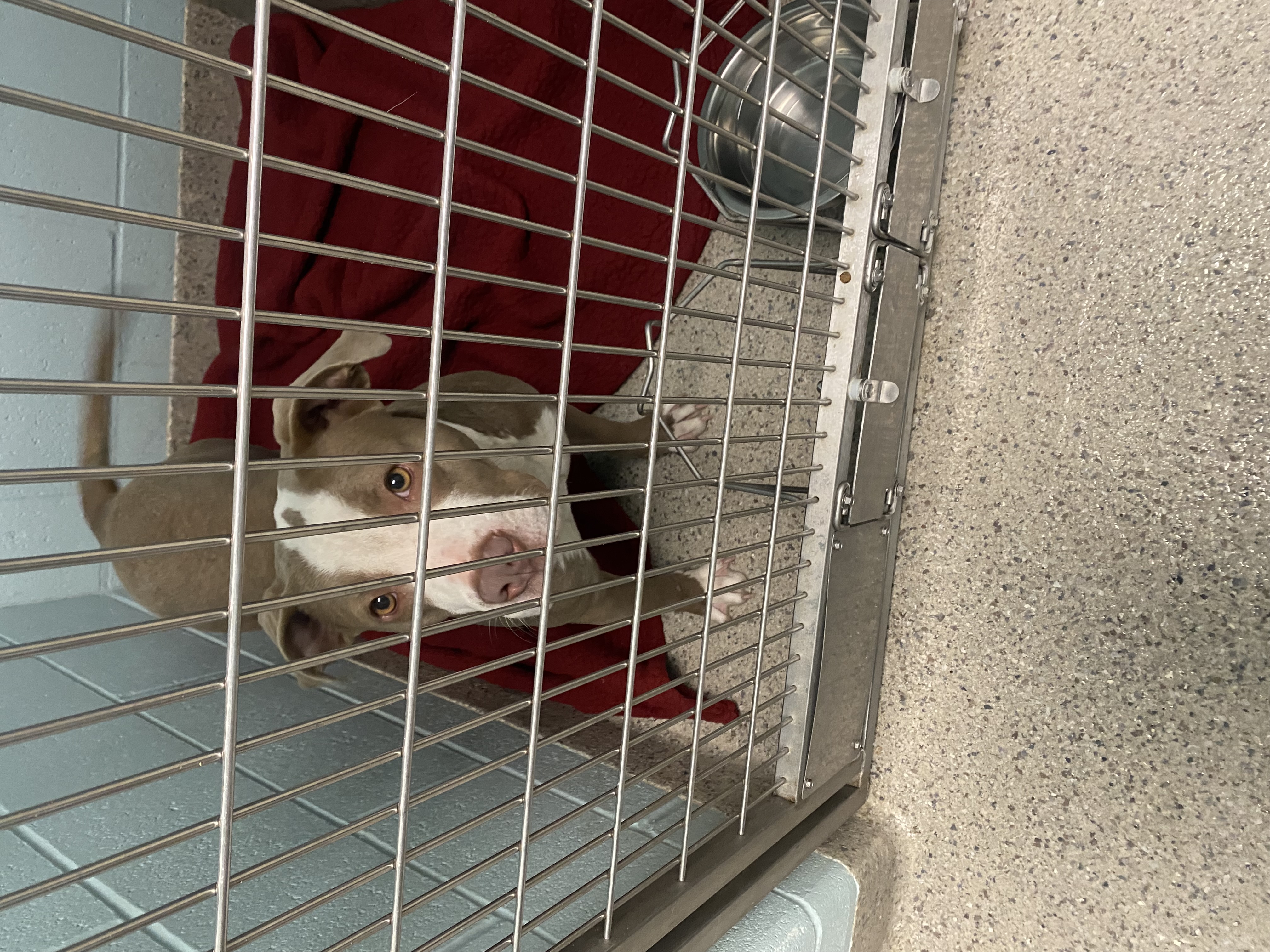 Learn More About Butter