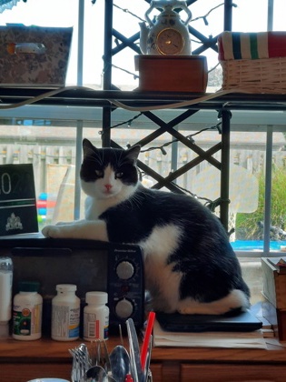 Learn More About Charlie