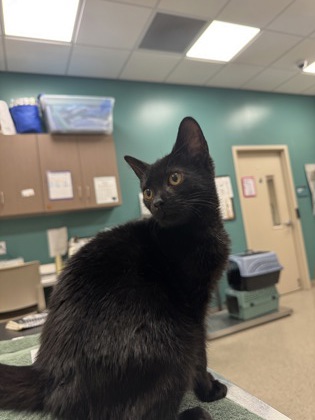 Learn More About Luna Photo of Luna