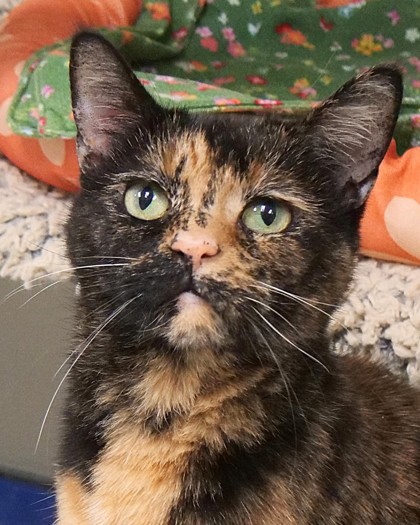 Learn More About Rory