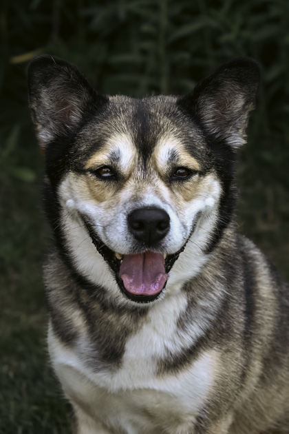 Luna