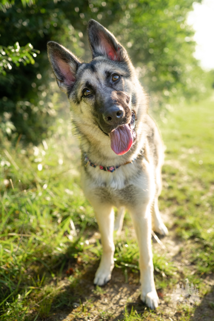 Learn More About Jovie Photo of Jovie