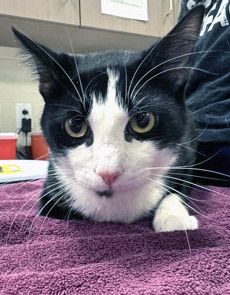 Photo of Reginald