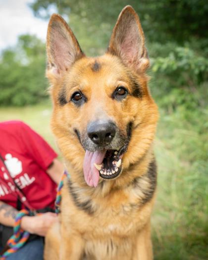 Learn More About Jaxon Photo of Jaxon