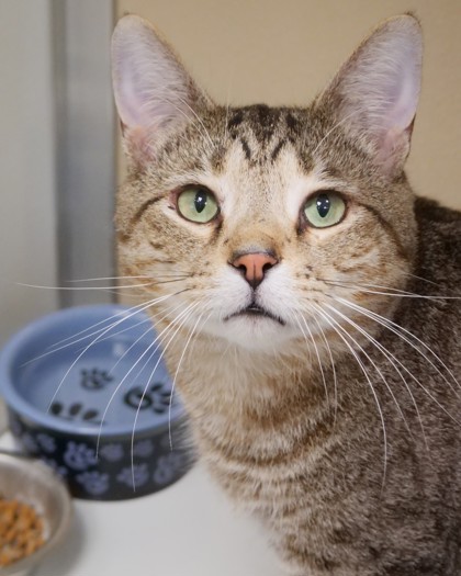 Learn More About Tootsie Tootsie