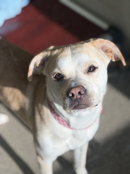 Learn More About Belle Belle