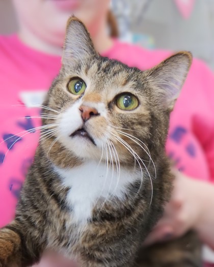 Learn More About Jasper (in Foster)