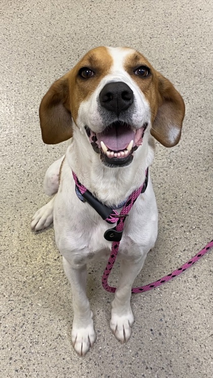 Learn More About Cooper Photo of Cooper