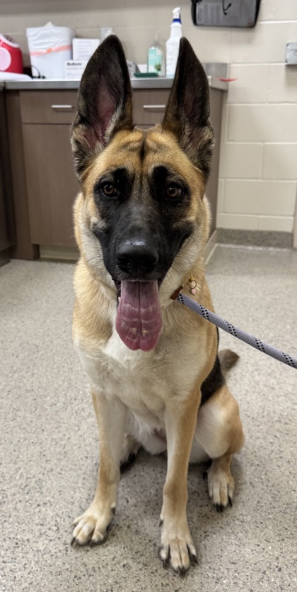Learn More About Molly Photo of Molly