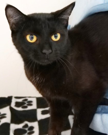 Photo of Halle Purry