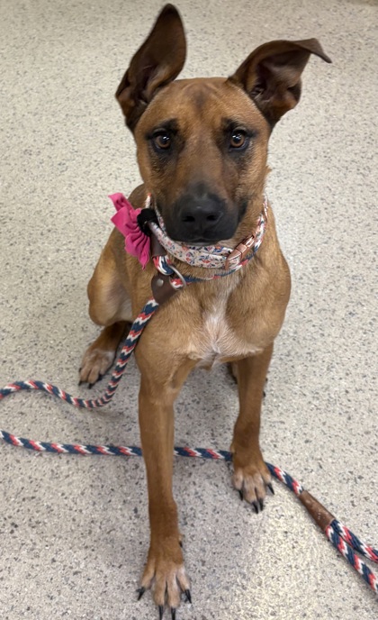 Learn More About Athena Photo of Athena