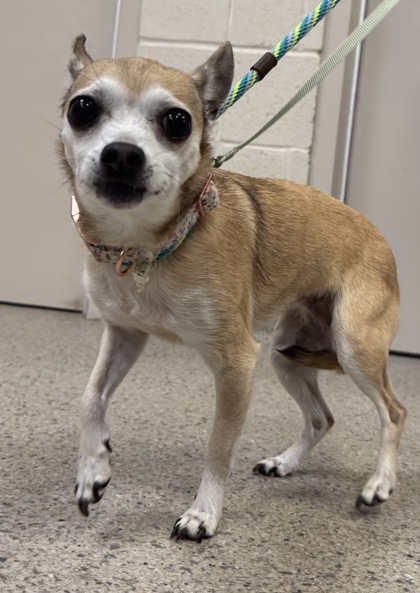 Learn More About Bella Mae Photo of Bella Mae