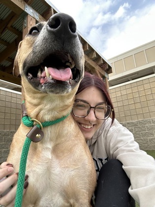 View Flora (in Foster) the Dog Photo #1