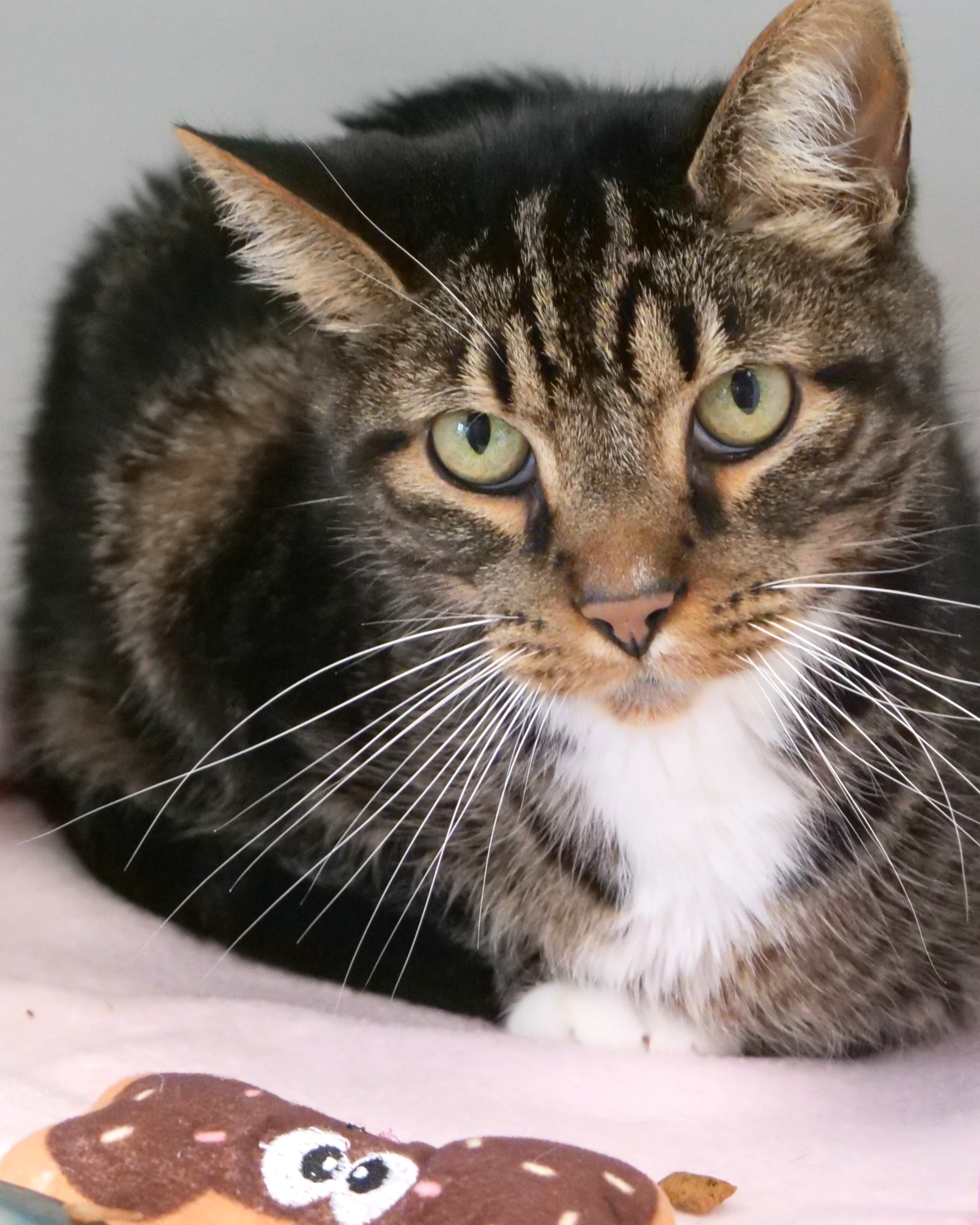 Oliver Dean (bonded To Oakley)
