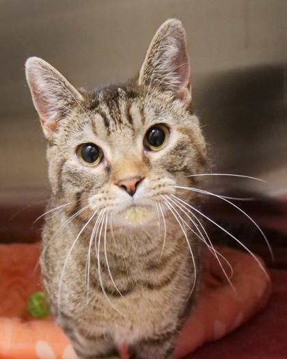 Learn More About Rene