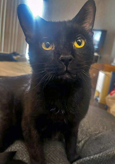 Learn More About Sparkle (in Foster)