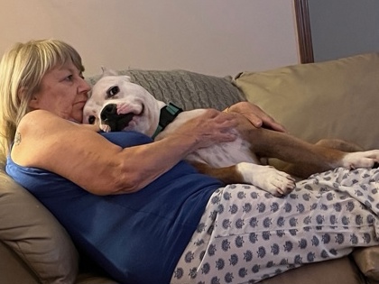 View Freddie (in Foster) the Dog Photo #1