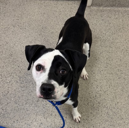 Learn More About Coolio