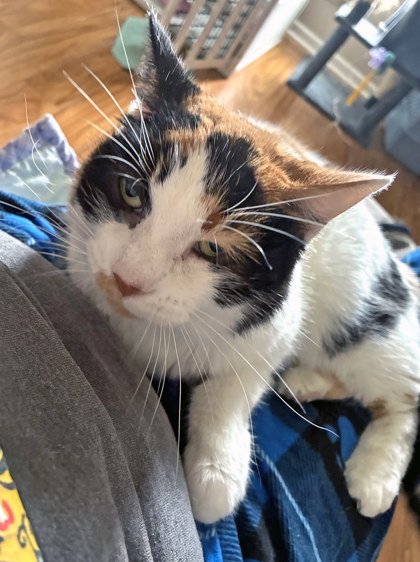 Learn More About Coraline (in Foster)