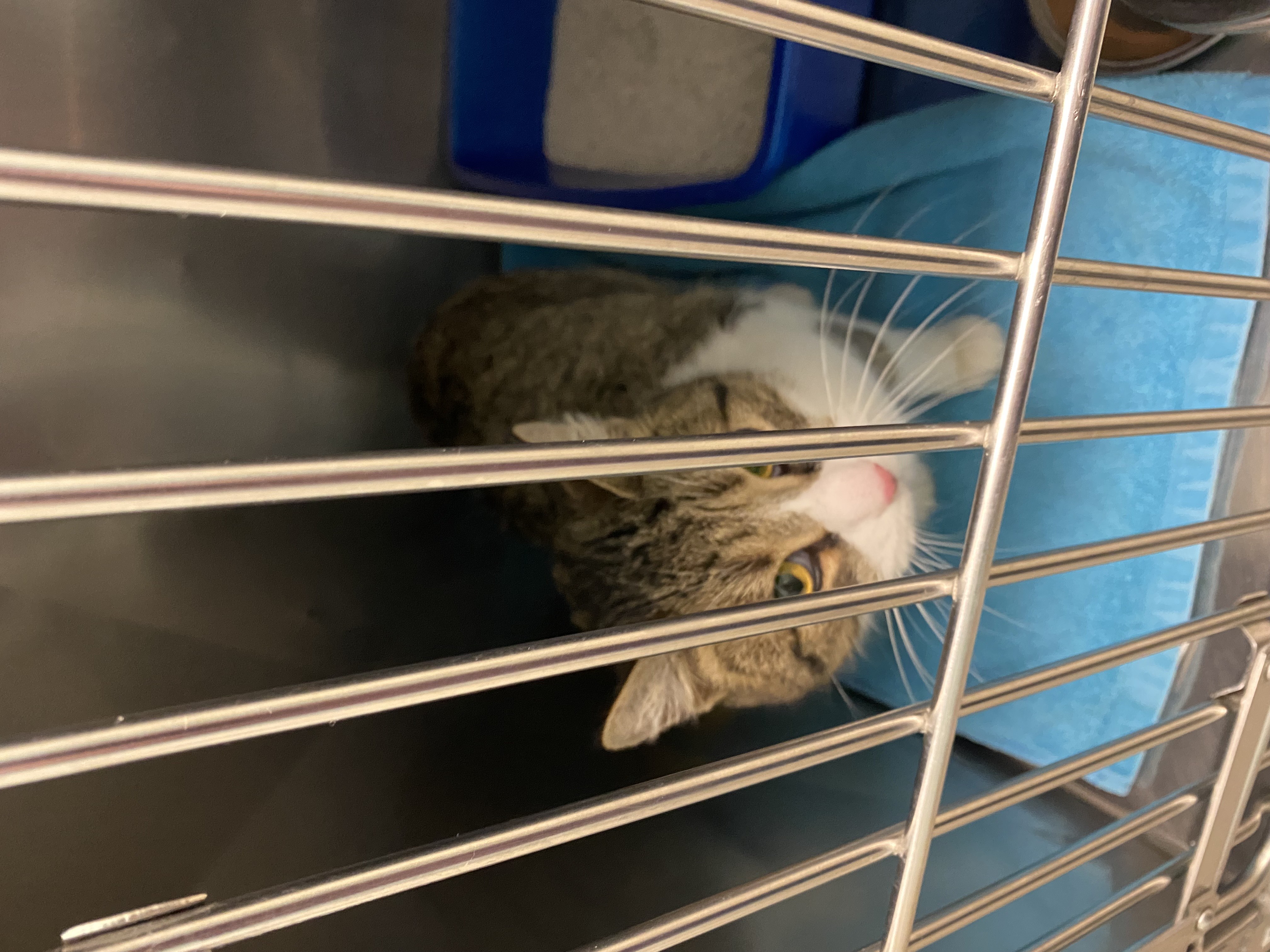 Learn More About 85418