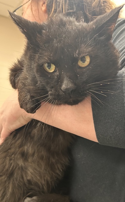 Learn More About Jack Black Photo of Jack Black