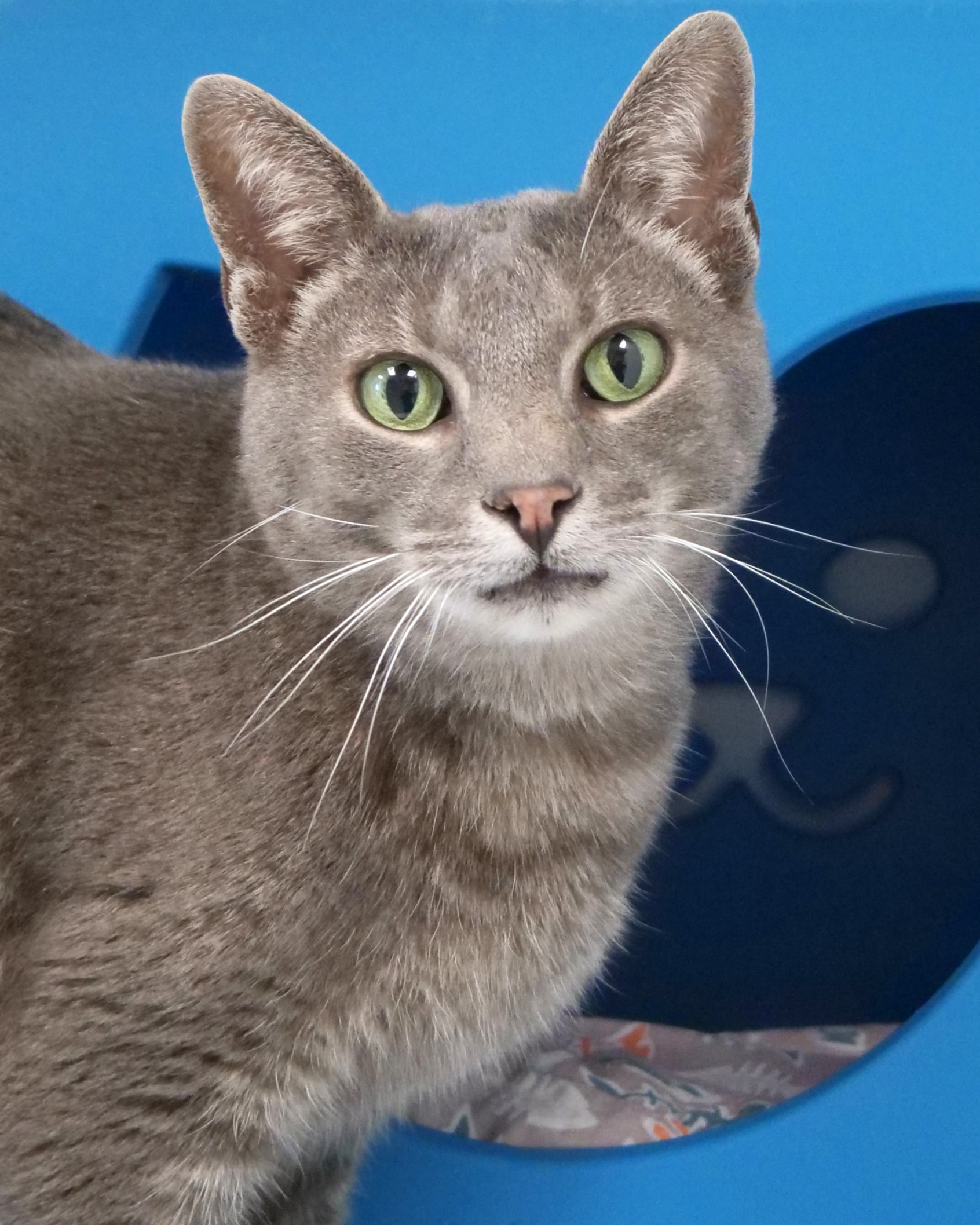 Photo of Bilbo