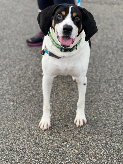 Learn More About Quincy Photo of Quincy