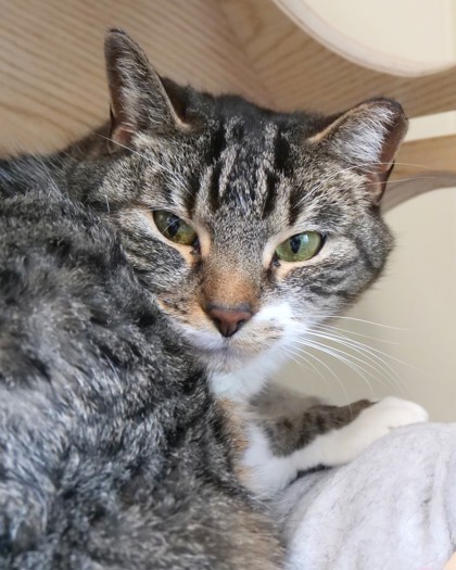 Learn More About Socks