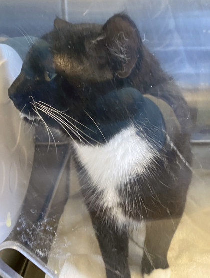 Learn More About Darby