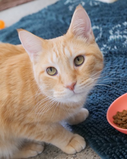 Learn More About Sammy Gene Sammy Gene