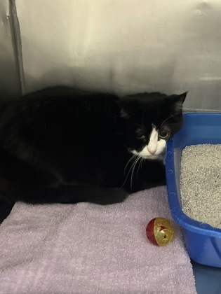 Learn More About Tabitha