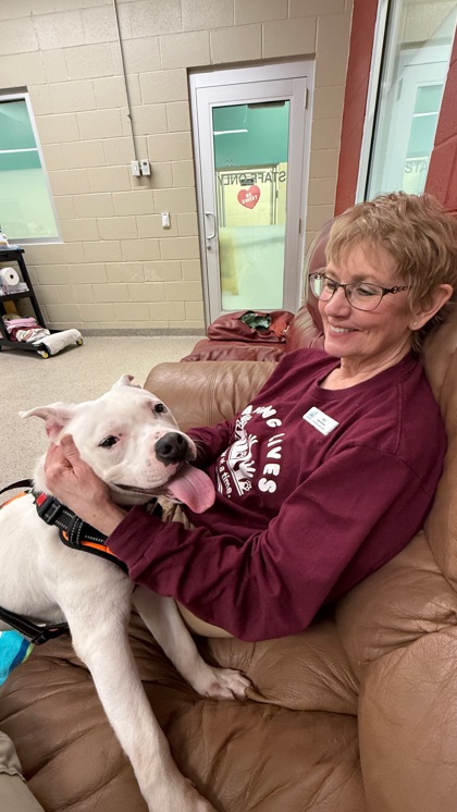 View Yukon the Dog Photo #1